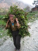 Nepalese mountain delivery service